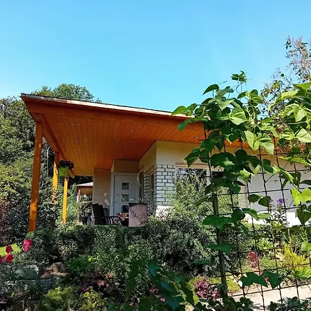 Waldidyl Im Erzgebirge